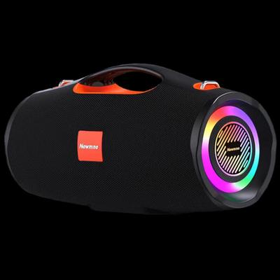 Newmine BT100 Outdoor Karaoke Bluetooth Speaker CN Plug (adapter Included)