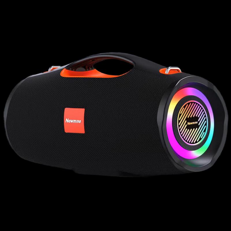 

Newmine BT100 Outdoor Karaoke Bluetooth Speaker CN plug (adapter included)