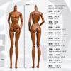 6 points toy doll first generation super model body 1/6FR adjustable neck solid joint doll body