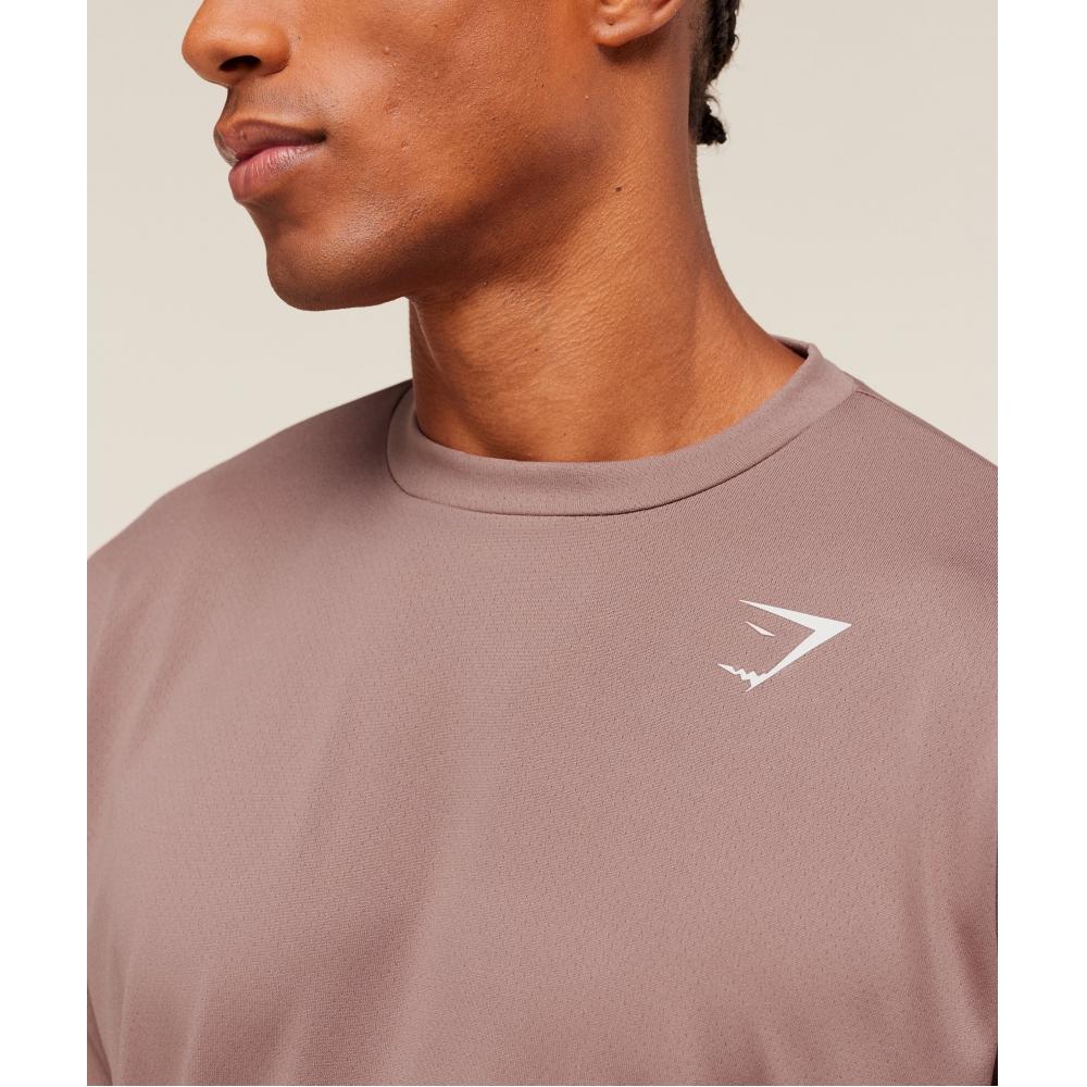 Gymshark Arrival Oversized T shirT chesTnuT Pink A6a4w Kcpn