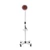 Beauty Salon Specific Heating Baking Lamp Household Floor Standing Physiotherapy Light Far Infrared Electric Heating Lamp