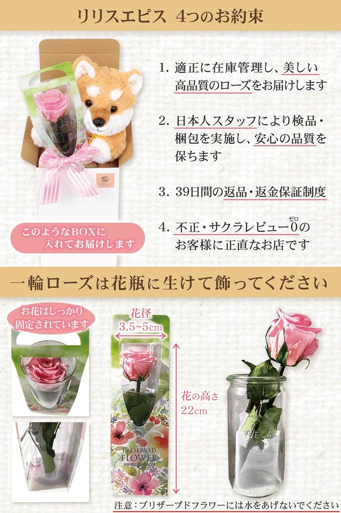 [liLYS Épice] Lilys Épice Preserved Flower Shiba Inu Plush Toy with Single Rose, Mother's Day Gift, Sp1pk (Pink Floral)