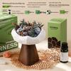 Wilderness Secret Scented Stone Diffuser Gift Set - Indoor Flameless Aroma Ornament for Holidays and Parties