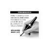 Platinum Fountain Pen Plaisir Fine Nib Blue PGB-1000#56-2