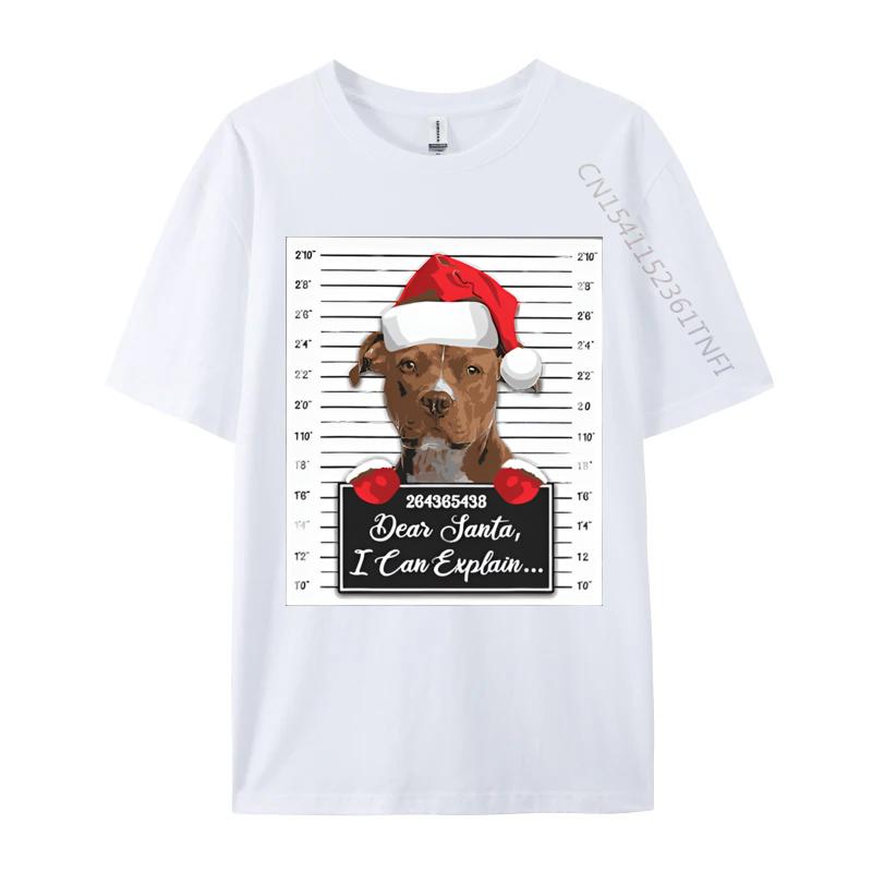 Newest Men Tees Dear Santa I Can Explain Funny Christmas T Shirts Cotton Leisure Street Wear T Shirt S