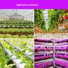 Adjustable E27 LED Plant Growth Light for Indoor Greenhouses and Seedlings
