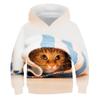 Girls' 3D Animal Cat Hoodie Long Sleeve 3D Print Fall Winter Cute Adorable Kids 3-13 Years Outdoor Daily Regular Fit