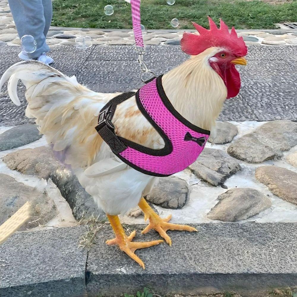 Coleira Peitoral Respirável Ajustável Portátil para Pato Frango com Coleiras Combinando Gravata Borboleta Colete de Pato Cinto Macio Confortável para Galinha Pet