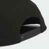 adidas Skateboarding Lowkey V2 Cap Ks6818