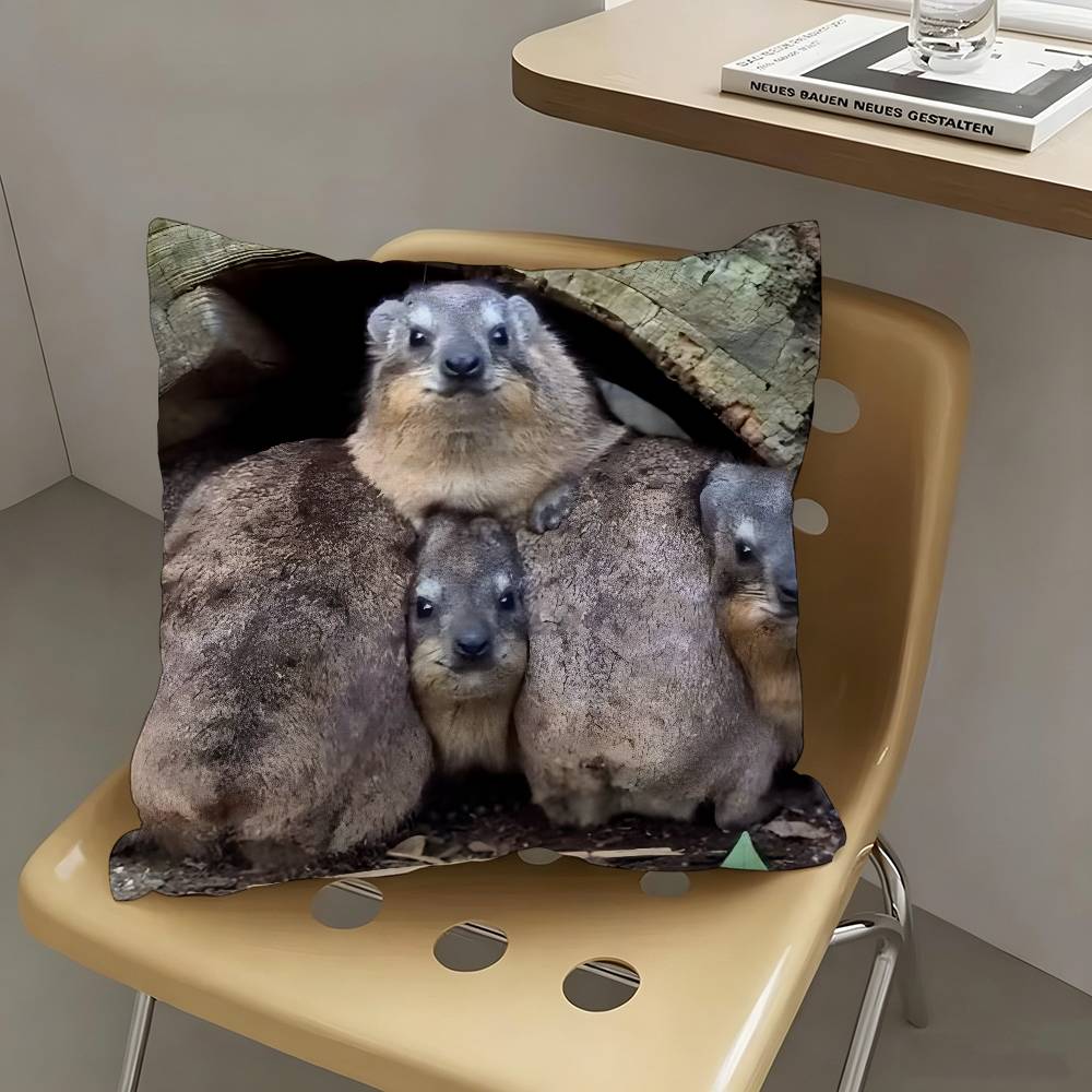 1pc Rock Hyrax Animal Pillow Case Fashion Square Pillowcase Bedroom Sofa Room Ins Decoration Leisure
