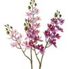 12 Heads Artificial Phalaenopsis Flower Single Branch Moth Orchid Simulation Butterfly Orchid Flower Arrangement DIY