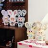 Mocici Sugar Heart Rabbit Magic Plush Blind Box - Cute Bag Pendant Gift