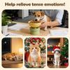 Cat Bowls Elevated 15 Tilted Neck Fatigue Feeder Detachable Kitten Bowl For Kittens Puppies Pets Indoor Outdoor Home Living Room