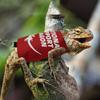 Lizard Harness and Leash Set, Pet Reptile Outdoor Chest and Back Strap, Specifically Designed for Chameleons and Squirrels