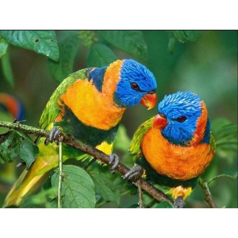 5D Diamond Painting Flower Bird Rhinestone Kit Diamond Embroidery Animal Cross Stitch Diamond Mosaic Home Decor