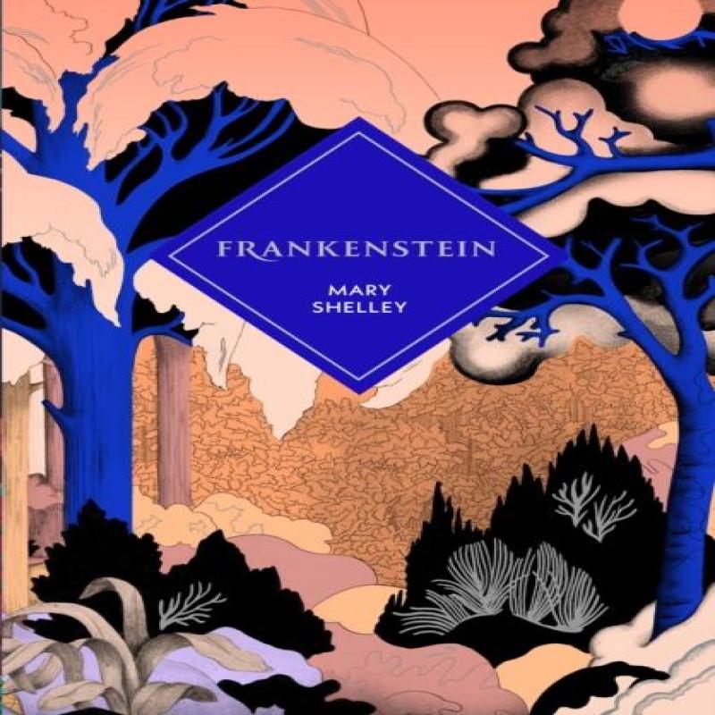 Frankenstein by Mary Shelley Hardback Book 9781529954302