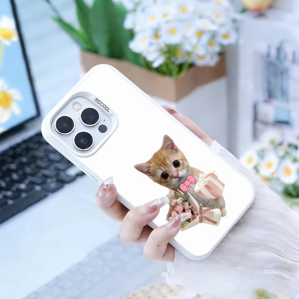 Goofy Silly Cats Big Eyes Phone Case For iPhone17, 16,15,14,13,12 Pro Max Black Candy Matte Shockproof Cover