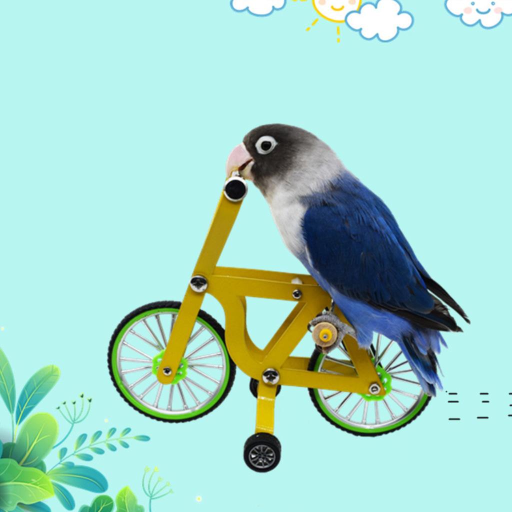 Vogel Trainierspielzeug Metallfahrrad für Papagei Kakadu Edelpapagei Sperlingspapageien Haustiere