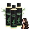 Verdikkende Shampoo Kruiden Voedende Shampoo Plantaardige Olie Controle Roos Jeuk Strippende Shampoo 100ml