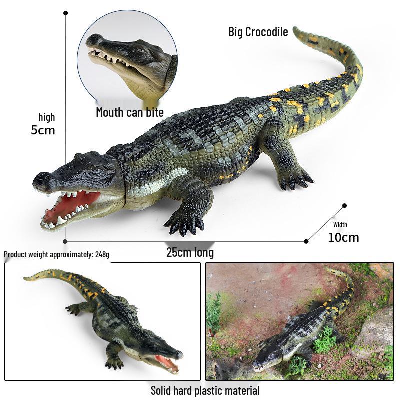Cross-Border Children's Cognitive Amphibian & Reptile Tortoise Model Fish Tank Ornament Toy