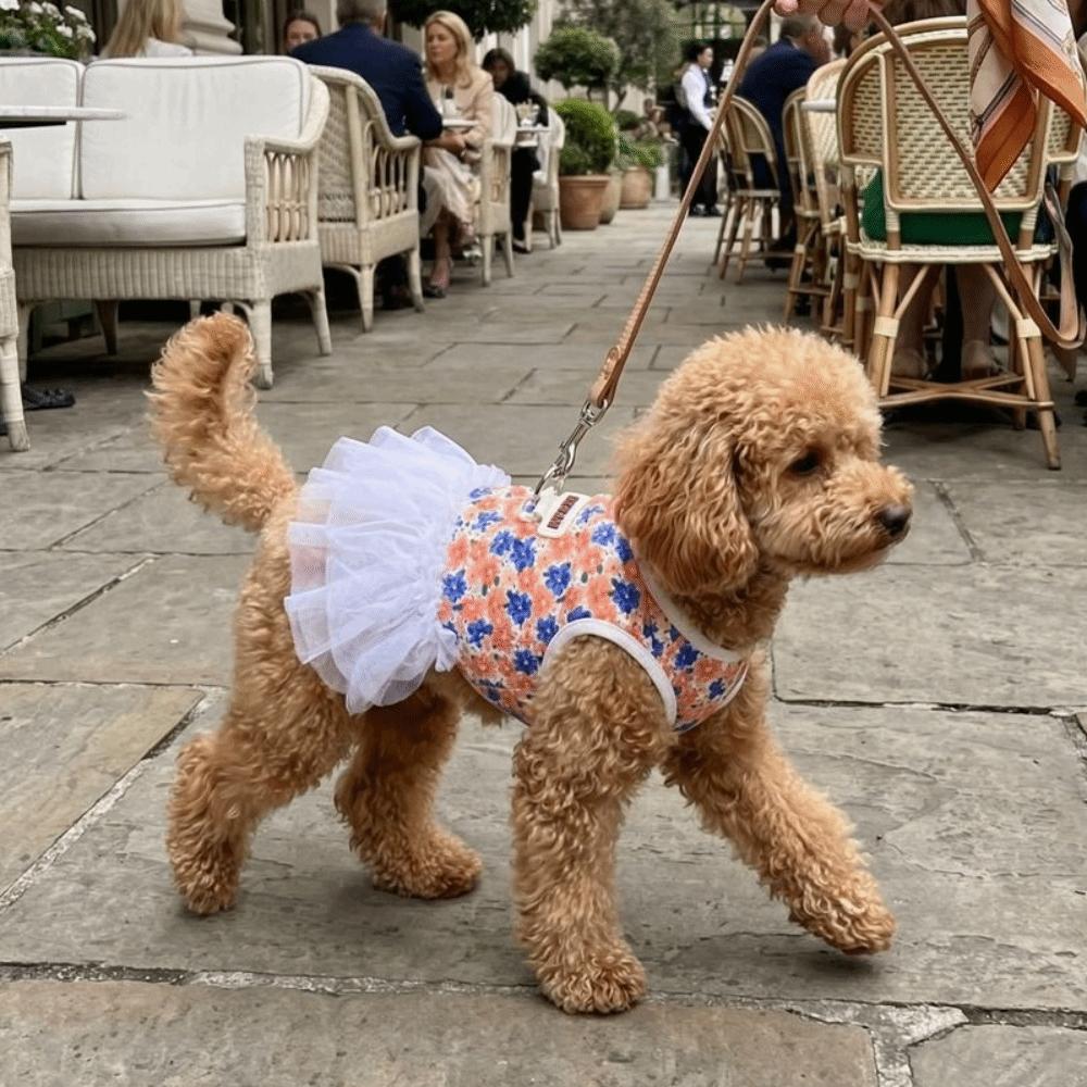 Breathable Dog Princess Dress White Lace Cat Cake Skirt Puffy Dog Floral Skirt  Photo Shoot