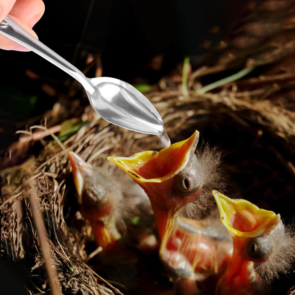 YAODHAOD 4.7" Bird Parrot Stainless Steel Metal Feeding Spoon Parrot Feeding Scoops Hand Feeding Spoons for Parrot (3PCS)