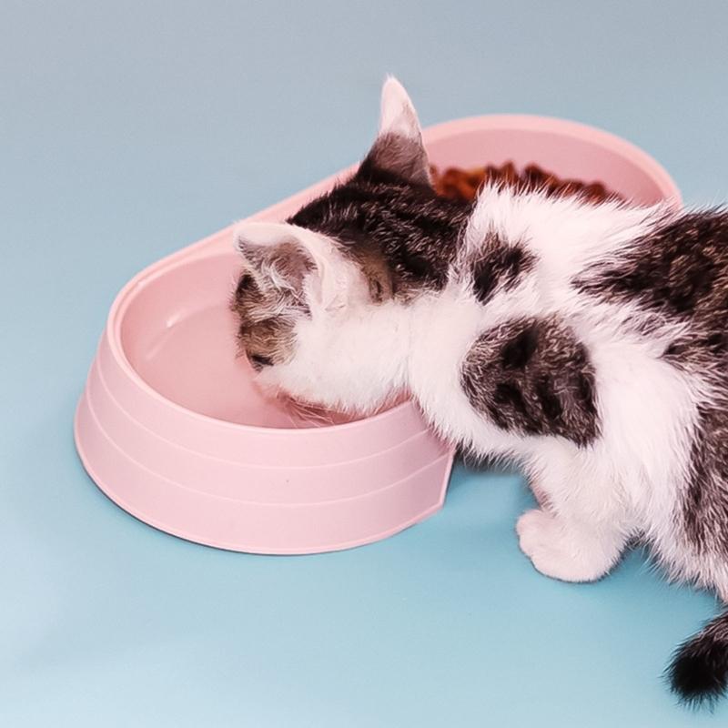 Nonslip Bottom Feeding Dish Double Bowl Feeder Water Food Container For Small Dog Cats Space Saving Modern Design Feeder