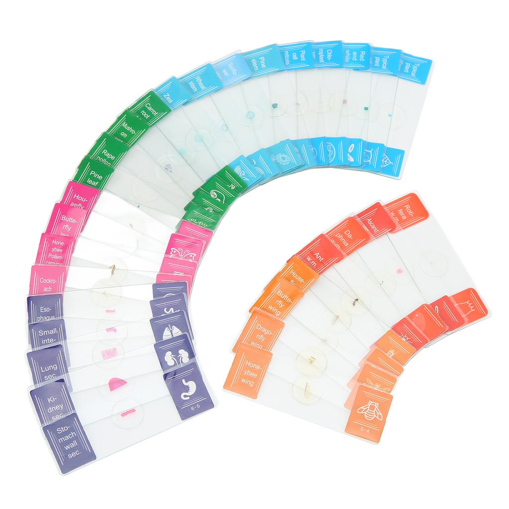 30Pcs Microscope Slides with Box Transparent Biology Prepared Slide Set for Laboratory