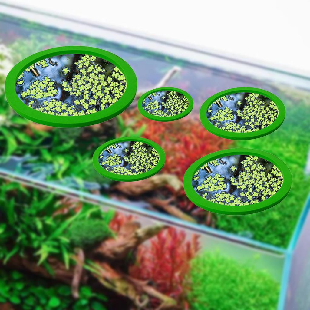 5x Aquarium Schwimmende Pflanzenringe Fischfütterungsringe Mehrere Größen Schwimmende Pflanzengehege Tragbares Aquarium Grasblockierende Ringe Set