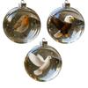 Bird Christmas Ball Ornament Shatterproof Plastic Clear Ball Ornament with Lifelike Birds Holiday Hanging Baubles for Xmas Tree Decor