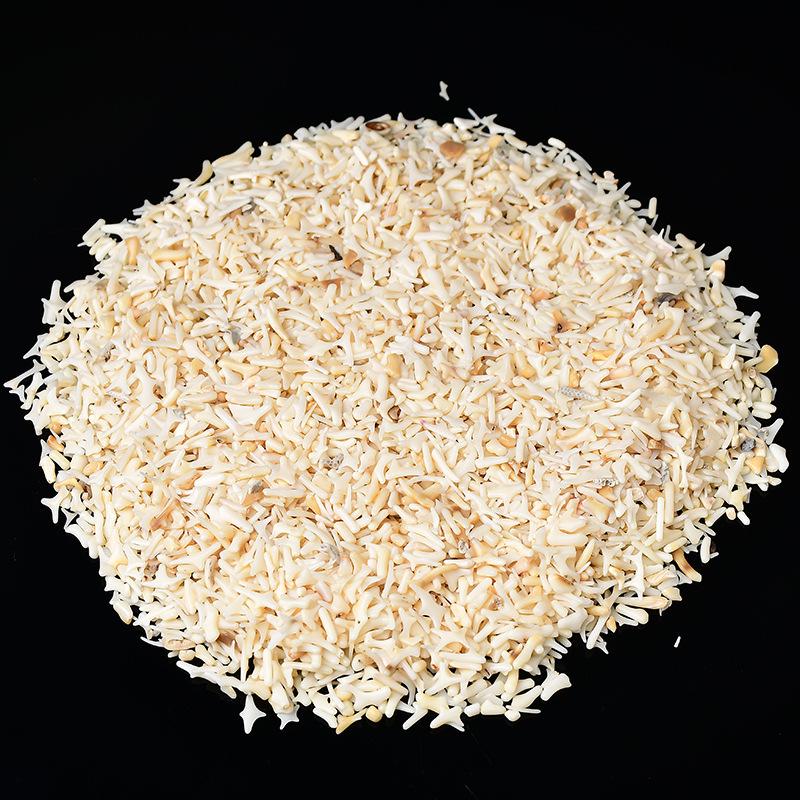 South China Sea White Coral Gravel: Aromatherapy Stone, Diffuser, Fish Tank & Flower Pot Decor, Buddha Offering & Demagnetizing Stone