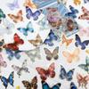50 schillernde Schmetterling Heißfolienprägung PET Edelstein Transparente Aufkleber für Notizbuch, Gitarre, Handy, Graffiti