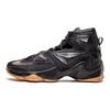 Nike LeBron 13 Black Lion Sneakers 807219-001
