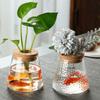 3PCS Small Size Hydroponic Plants Vase Decorative Water Cultivation Vase  Garden Accessories
