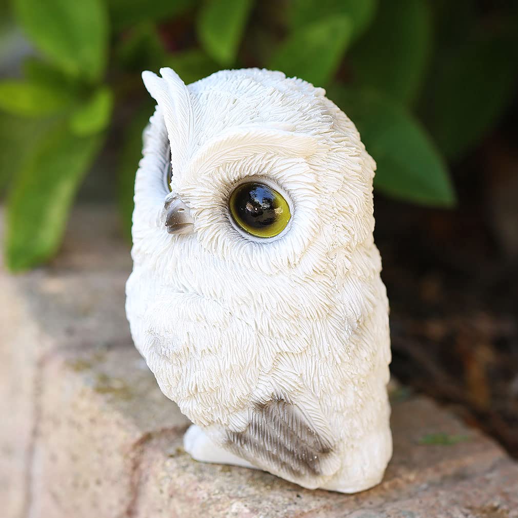 Mo03 Owl Resin Perfect Gift for Birthdays Greetings [Devalier] Figurine, Owl, (Owl Lol)