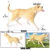 Kids' Cognitive Animal Model Set: Chicken, Duck, Goose, Cow, Pig, Sheep, Donkey, Cat, Dog, Horse