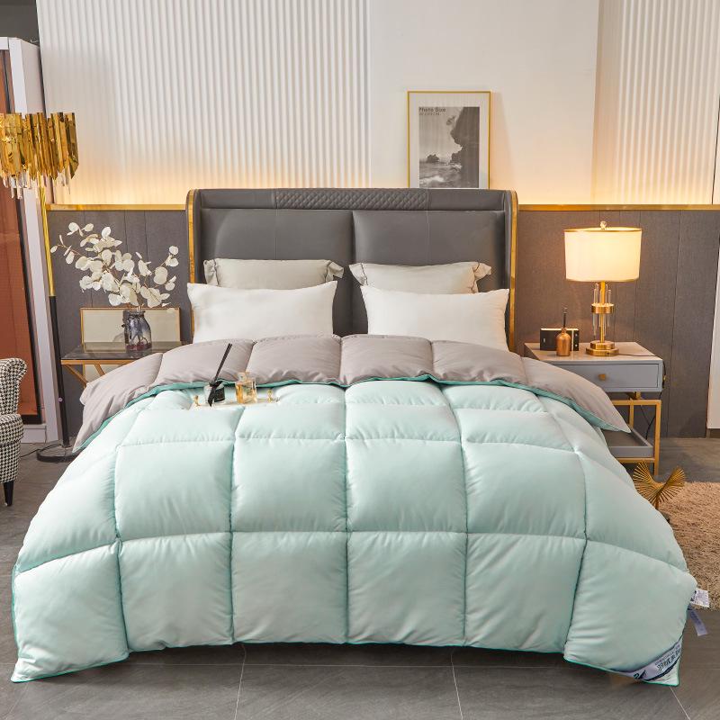 Luxury Pure Cotton Down Velvet Quilt – Thickened for Winter, Ideal for Five-Star Hotels, Perfect for Spring and Autumn