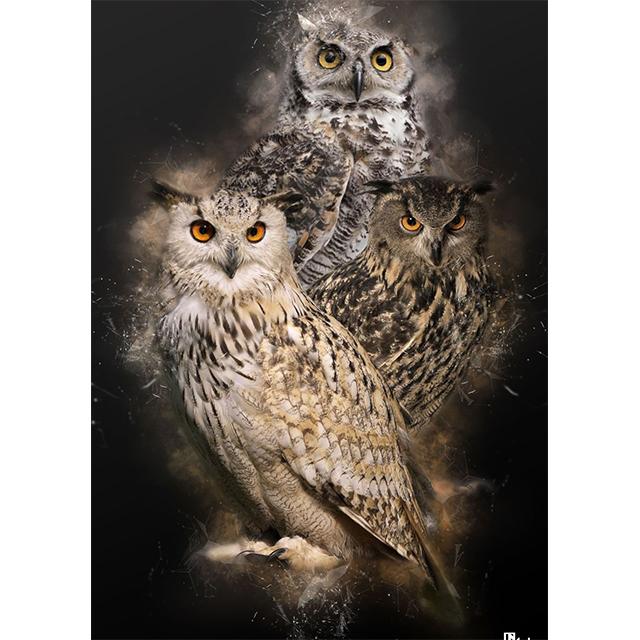 

Animal Tiger Wolf Owl Bird Multi Angle Prints Poster Canvas Painting Modern Wall Art Pictures For Living Room Bedroom Home Decor 21x30cm No Framed