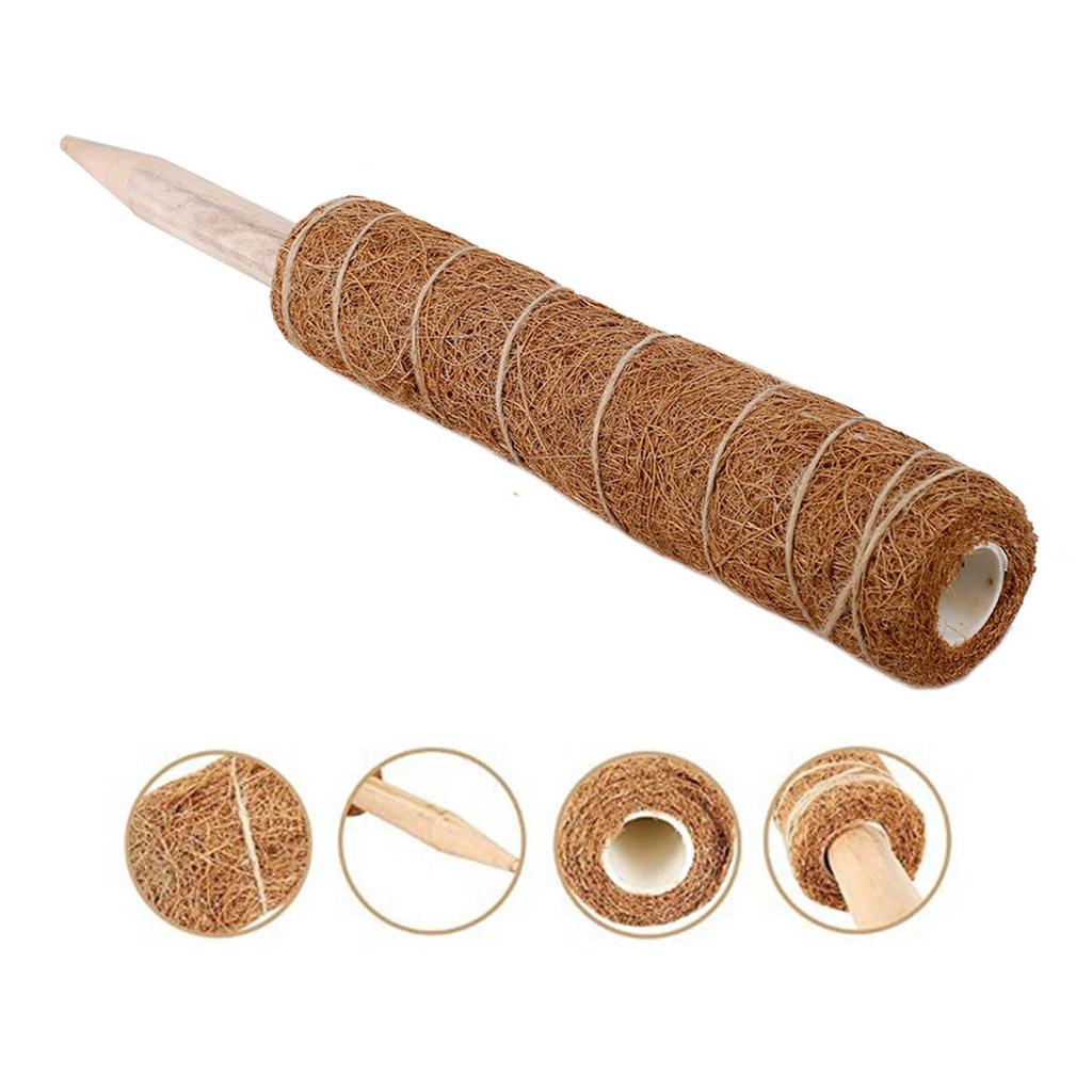 3PCS Plant Climbing Vine Coconut Palm Stick