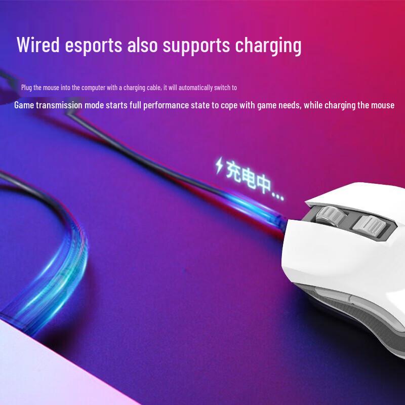 Dareu EM905PRO Dual Mode Gaming Mouse