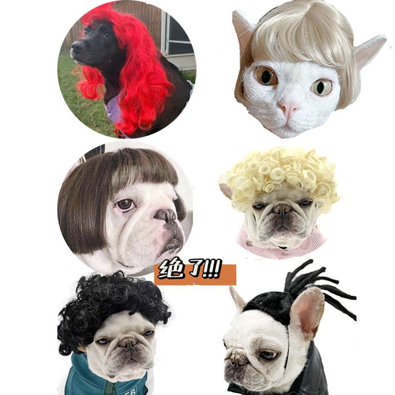 Lustige Hunde-Katzen-Cosplay-Perücke für kleine Hunde, Kopfbedeckung, Cosplay-Kostüm-Accessoires, Haustierperücken für Halloween, Heiligabend, Festival-Party-Dekoration