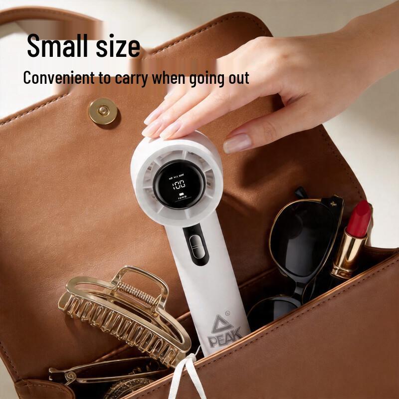 Peak Portable Outdoor Handheld Fan