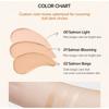 SKINFOOD - Salmon Darkcircle Concealer Cream - 3 Colors