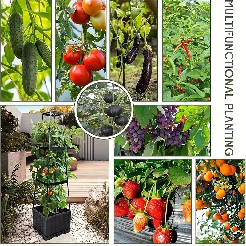 Tomato Tower Planting Box and Trellis - for Climbing Plants, Indoor and Outdoor Garden Support -1 Set