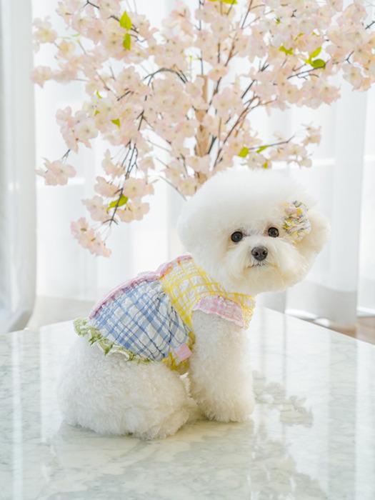 SALTYHEARTY Picnic Demi-Crop à Carreaux