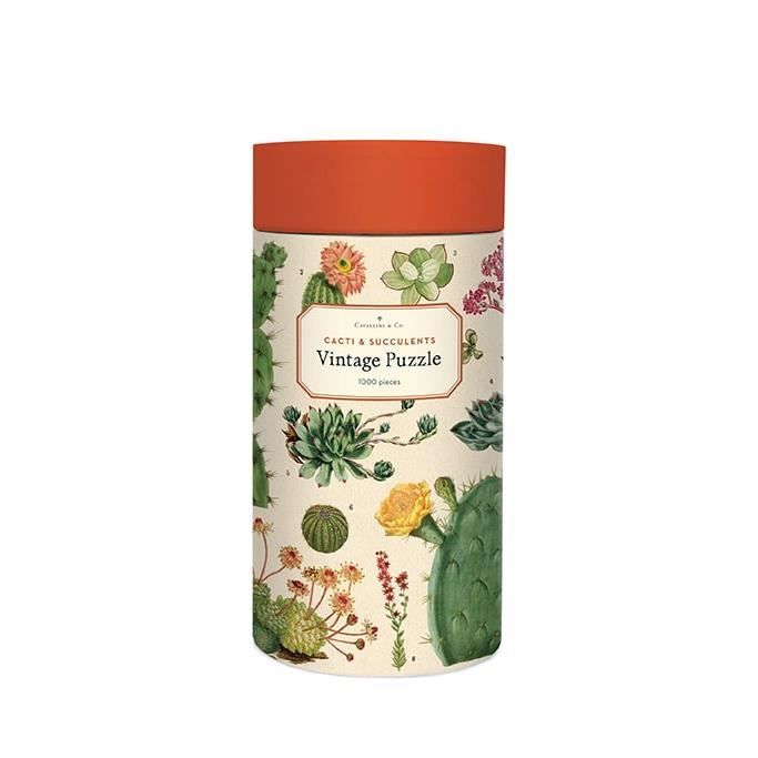 Puzzle 1000 pièces cactus et plantes grasses - vintage déco