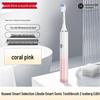 Smart Selection Leboo Electric Toothbrush