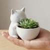 Black White Cat-Shaped Pot Cute Animal Desktop Succulents Ornament Plant Pots Flowerpot Potting Home Garden Offices Accessories