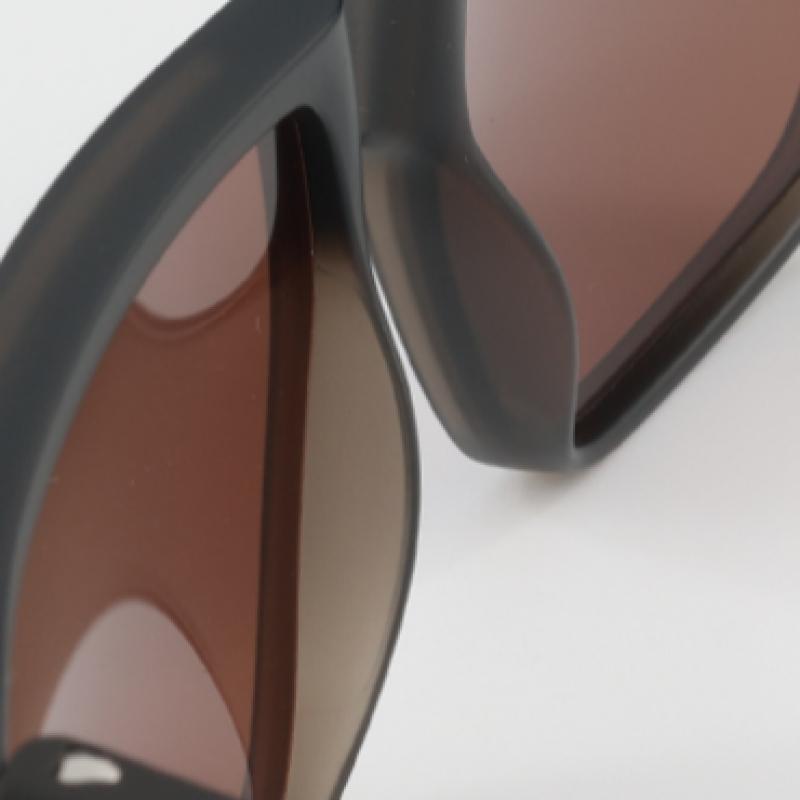 Puma Galleria Puma Sunglasses Pu0315s 003 Goggles Acetate Men woMen