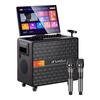 SANSUI Q105 All-in-One KTV Speaker System CN Plug (adapter Included)
